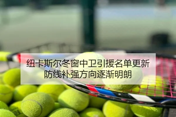 纽卡斯尔冬窗中卫引援名单更新 防线补强方向逐渐明朗